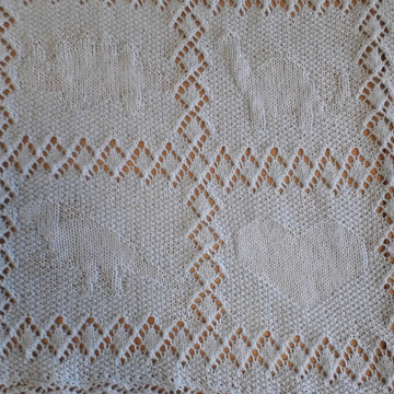 Dinosaur baby shawl