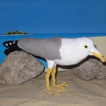 My Pet Seagull