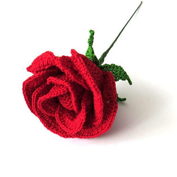 Rose half open bud