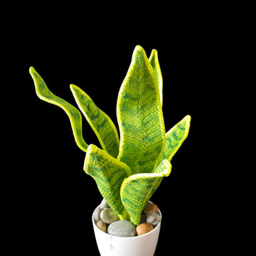 Crochet Snake plant pattern