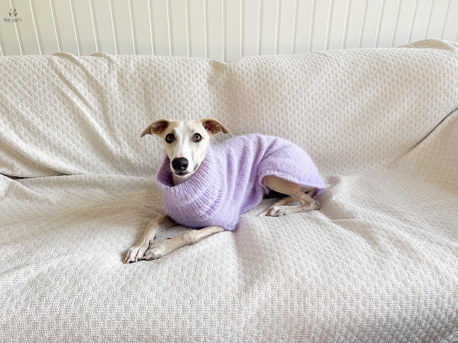 Doggo no 9 sweater