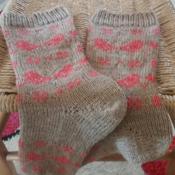 Lovely Birdies Socks