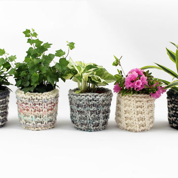 Barton Basket