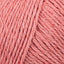 Coral Spice (214)