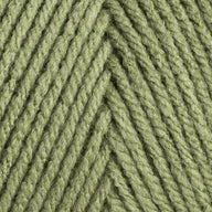 Lettuce (1601)