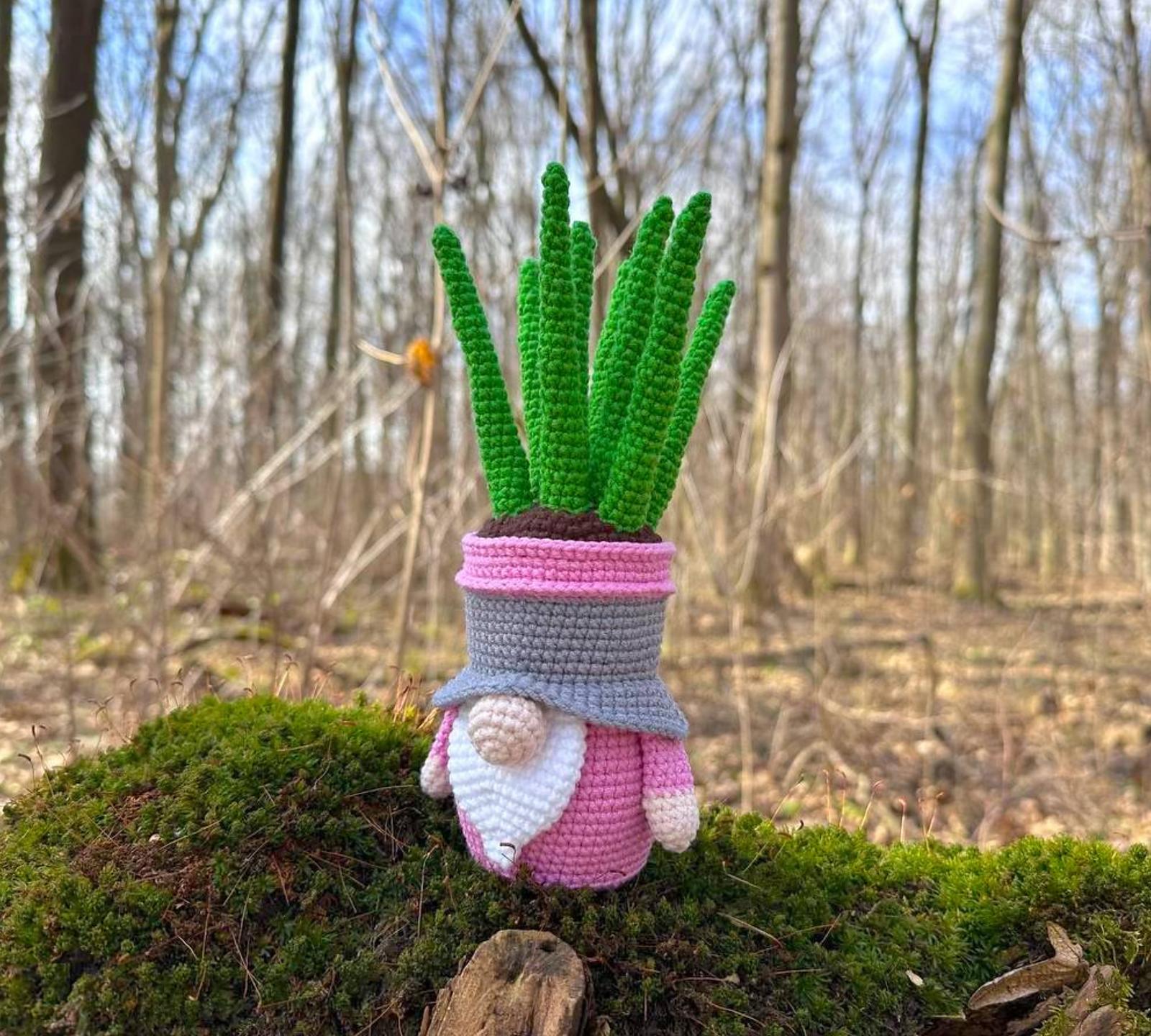 Gnome succulent_sansevieria 3