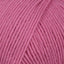 Candy Pink (19)