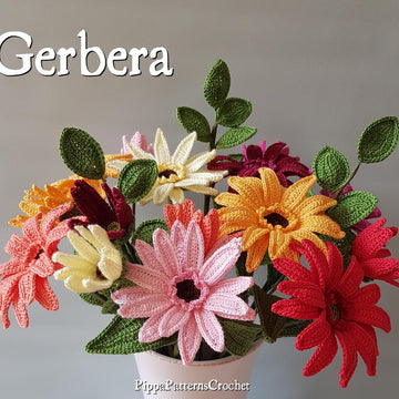 Gerbera