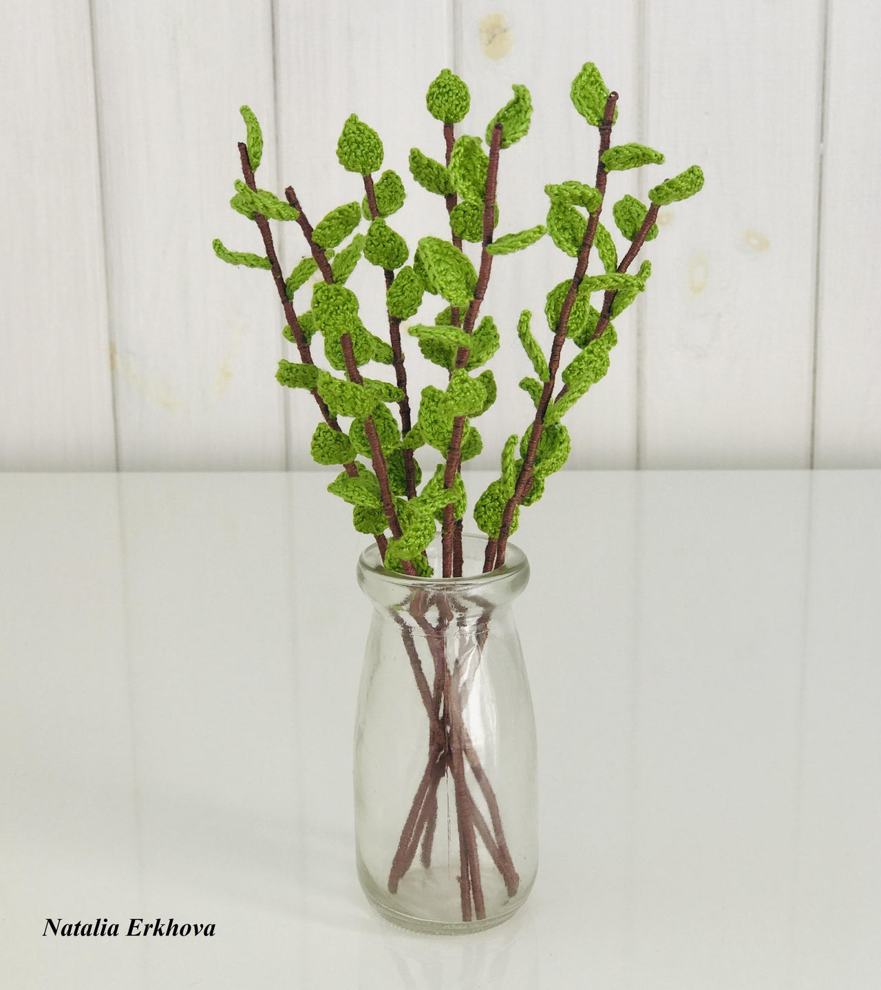 Spring twigs