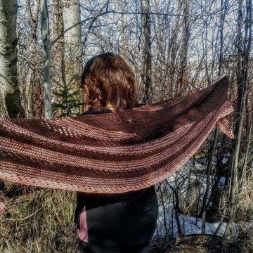 Krissy's Shawl