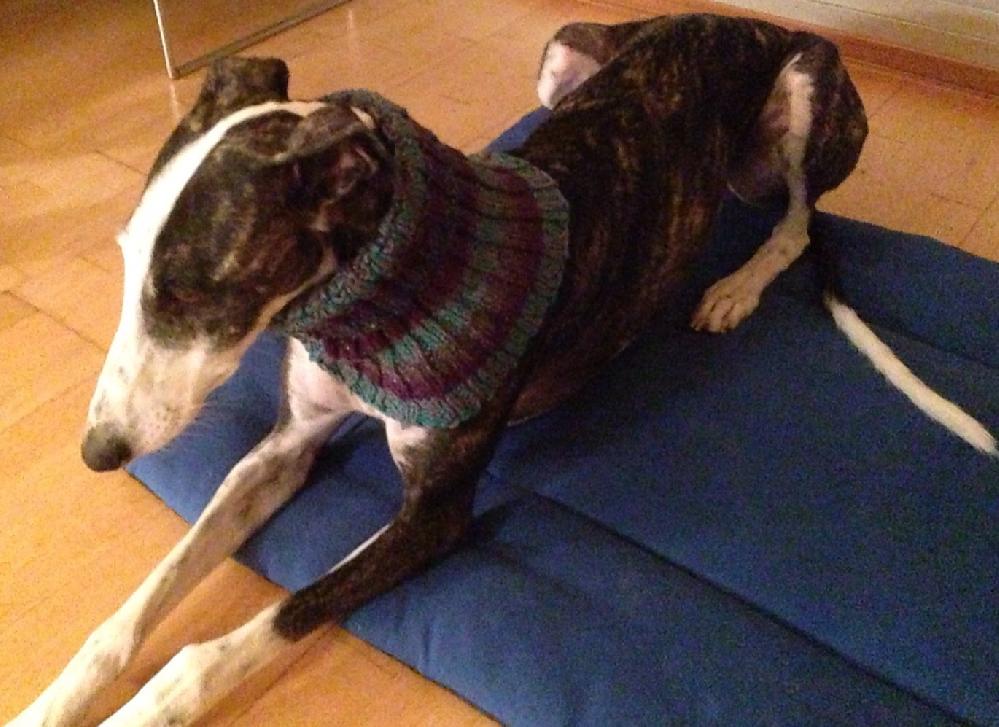 Rona's Easy Striped Greyhound Neck Snood