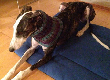 Rona's Easy Striped Greyhound Neck Snood