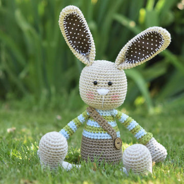 Long-ear Rabbit