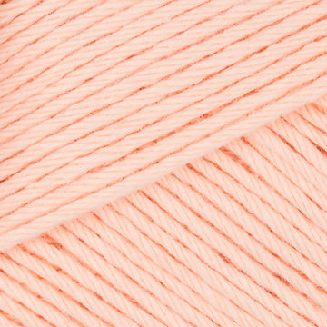 Salmon (022)
