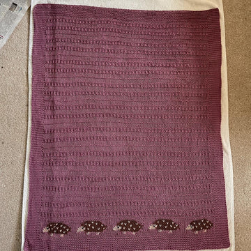 Layla's Hedgehog Baby Blanket