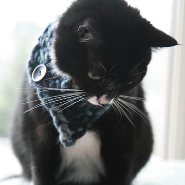 The Triangle Cowl for Tiny Creatures