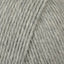 Silver Grey (223)