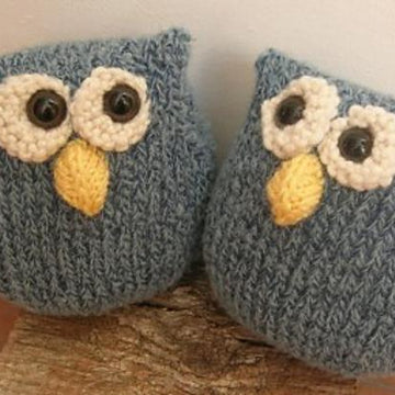 Cordell The Owl