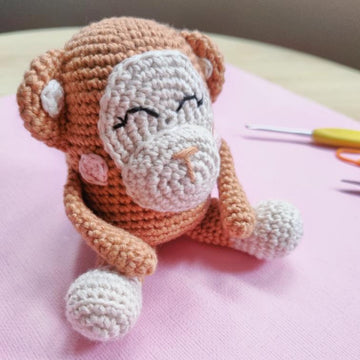 Meiko the Monkey