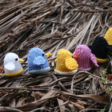 The Chicks