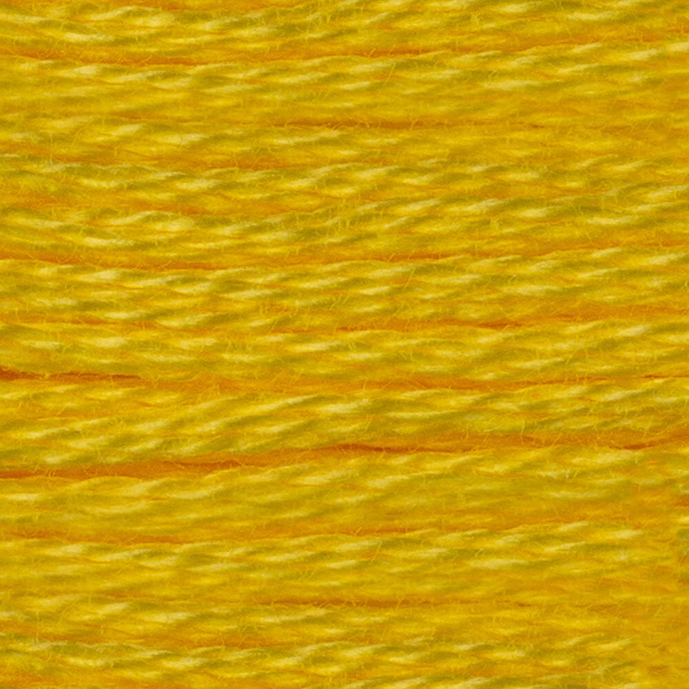 DMC 6 Strand Embroidery Floss - Warm Shades