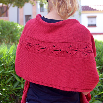 Tulipa Hollandia