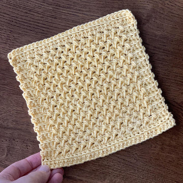 Tomorrow's Light Dishcloth