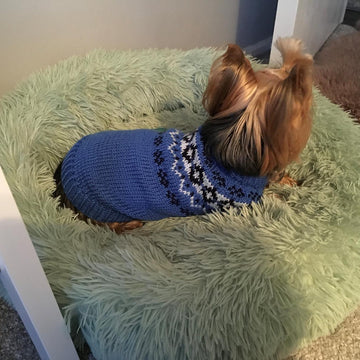 Yoke Dog Sweater