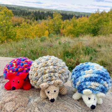Hedgehog