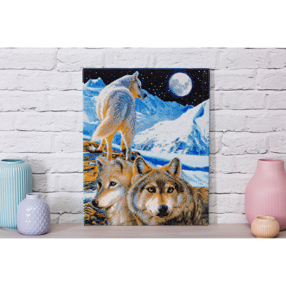Crystal Art The Sentinel, 40x50cm Diamond Painting Kit