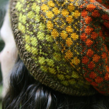 Fall is a Color