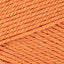Ginger (0639)