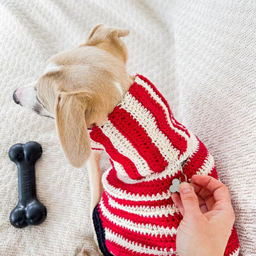 Doggo no 14 sweater