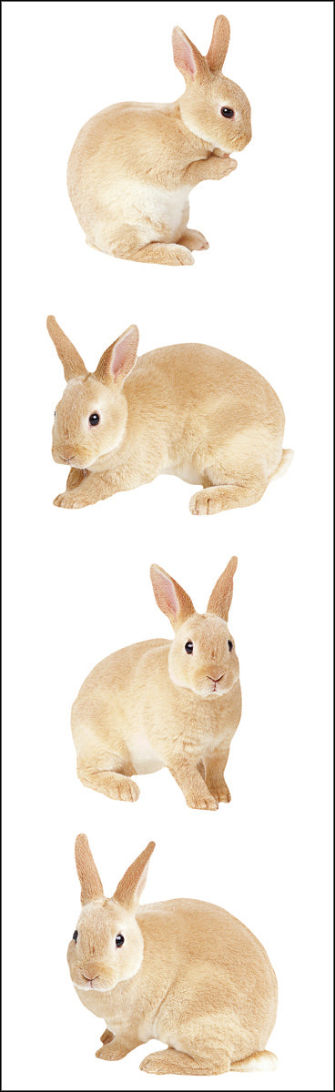 Mrs. Grossman's Stickers - Rabbits