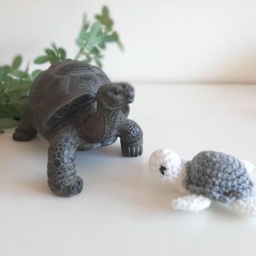 Cute Turtle