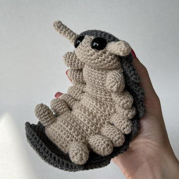 Roly Poly Pill Bug