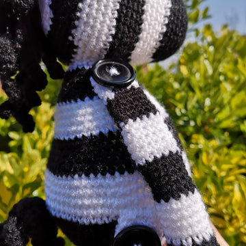 Rocky the Zebra