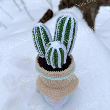 Gnome-cactus in a pot 3