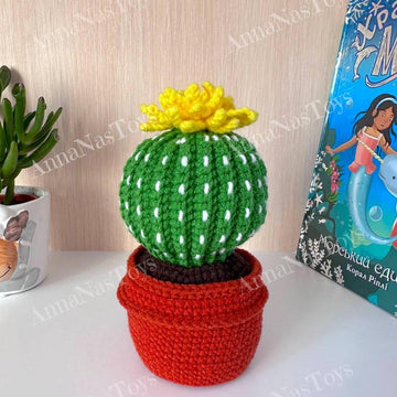 Cactus in a pot_5