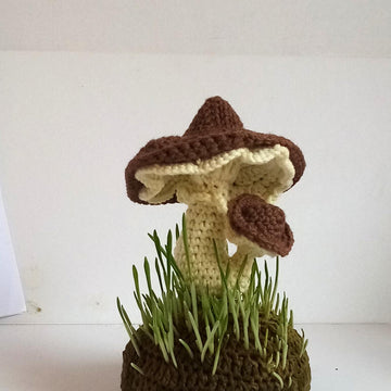 Mushrooms