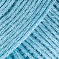 Robin Egg Blue (CW555)