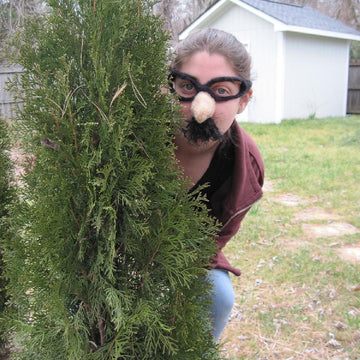 Incognito!