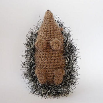 Curious hedgehog