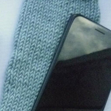 Sampler Mittens and Phone Cosy