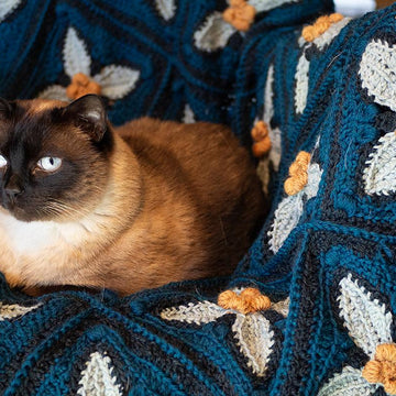 Azure Blanket