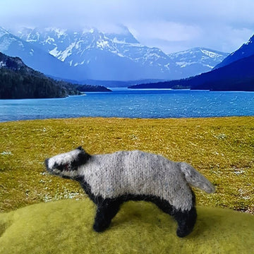(Eurasian) badger