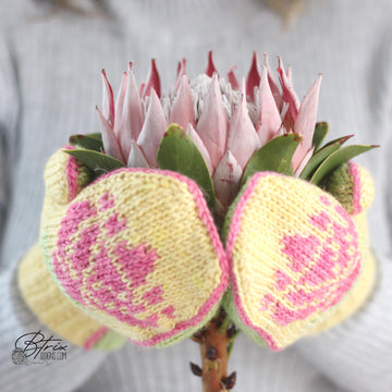 Tunisian Protea Mitts