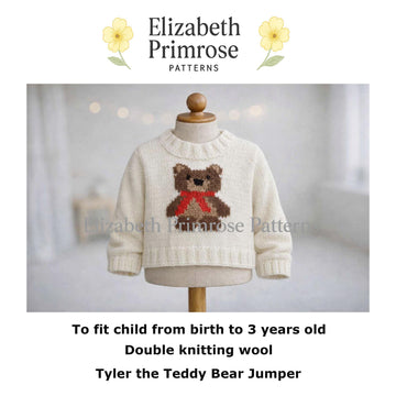 Tyler the Teddy Bear Children's Jumper P23