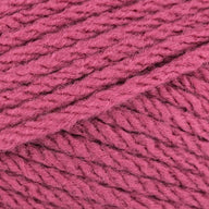 Raspberry (846)