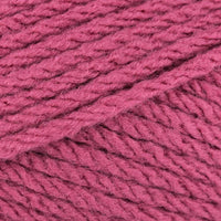 Raspberry (846)